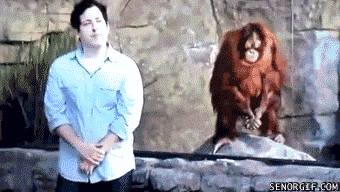 Acid GIFs, June 12 (25 gifs) Acid GIFs, June 12 (25 gifs)