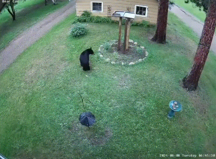 Acid GIFs, June 12 (25 gifs) Acid GIFs, June 12 (25 gifs)
