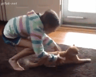 Acid GIFs, June 12 (25 gifs)