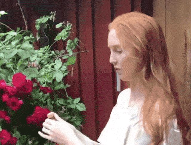 Acid GIFs, June 12 (25 gifs)
