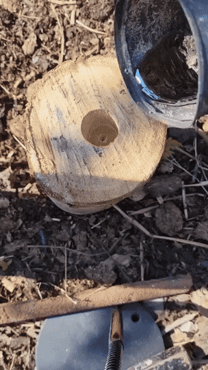 Acid GIFs, June 12 (25 gifs) Acid GIFs, June 12 (25 gifs)