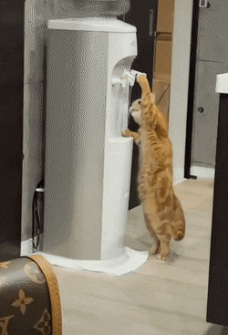 Acid GIFs, June 12 (25 gifs) Acid GIFs, June 12 (25 gifs)