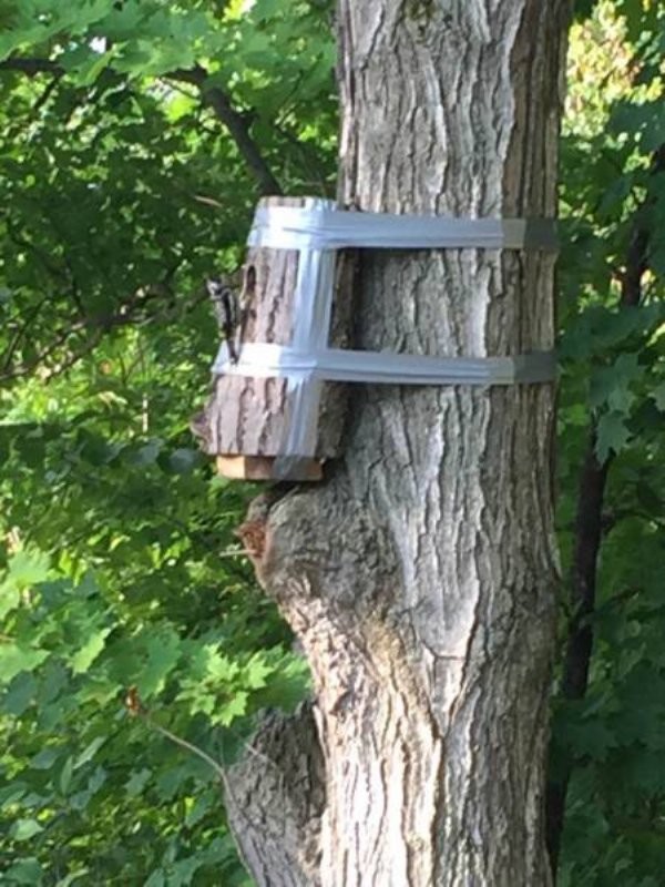 Redneck Inventions And Repairs (23 pics)