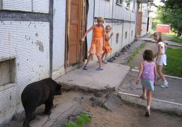 Bad Days Happen (20 pics)