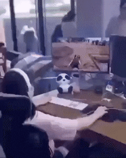 Acid GIFs, June 13 (25 gifs) Acid GIFs, June 13 (25 gifs)