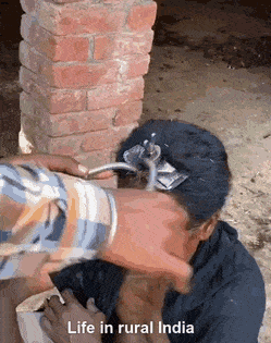 Acid GIFs, June 13 (25 gifs) Acid GIFs, June 13 (25 gifs)