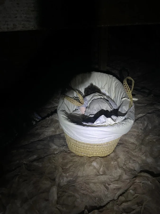 Scary Finds In Old Houses (25 pics)