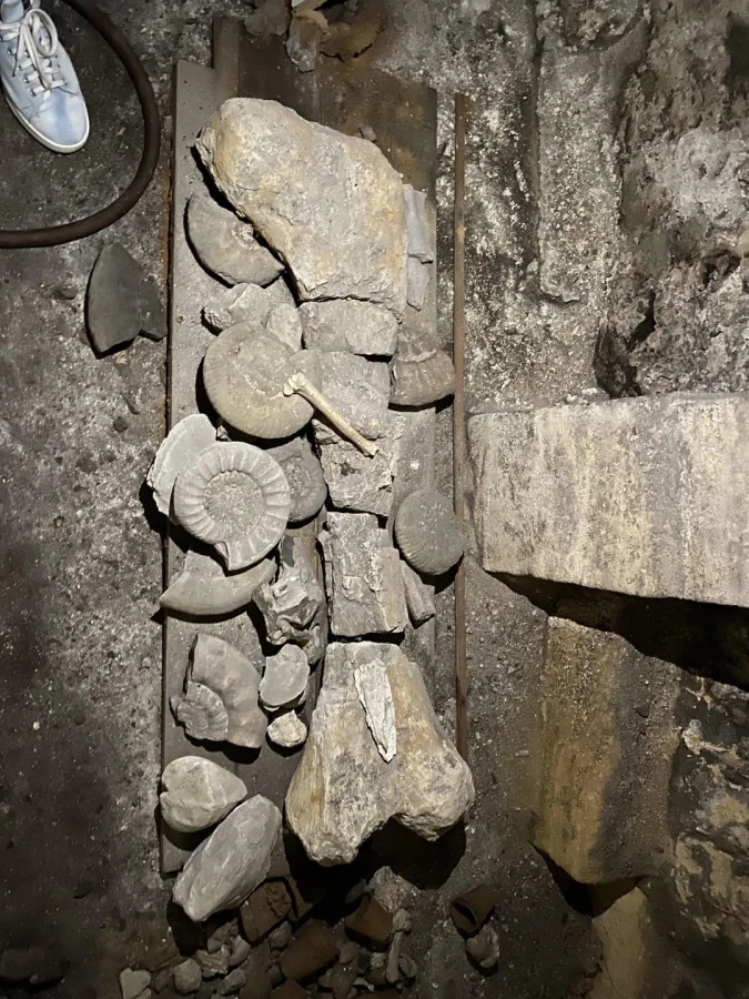 Scary Finds In Old Houses (25 pics)