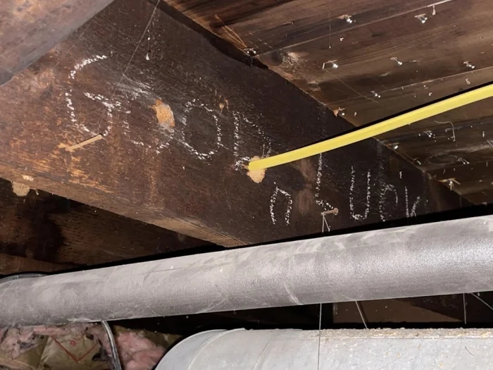 Scary Finds In Old Houses (25 pics)