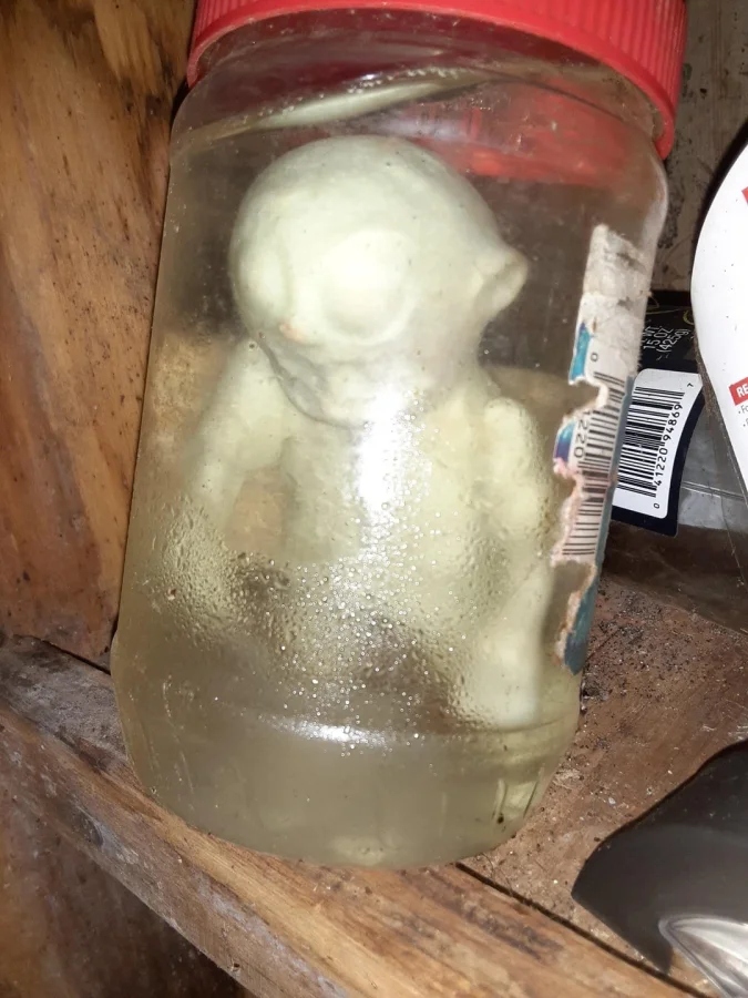 Scary Finds In Old Houses (25 pics)