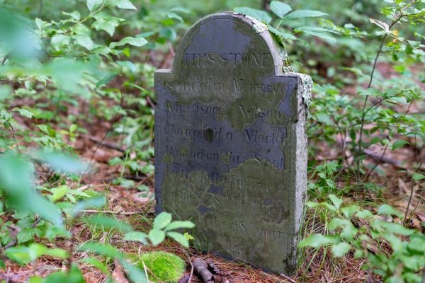 Creepy Things In The Woods (25 pics)