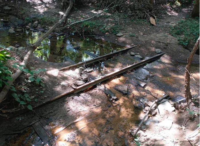 Creepy Things In The Woods (25 pics)