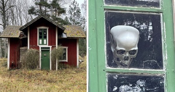 Creepy Things In The Woods (25 pics)
