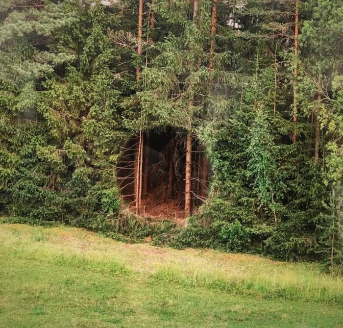 Creepy Things In The Woods (25 pics)
