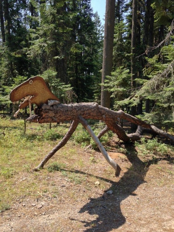 Creepy Things In The Woods (25 pics)