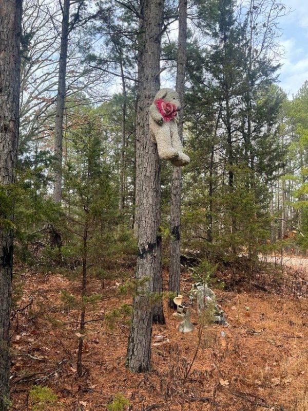 Creepy Things In The Woods (25 pics)