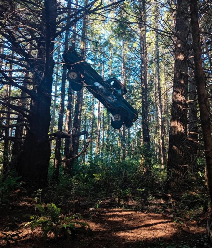 Creepy Things In The Woods (25 pics)