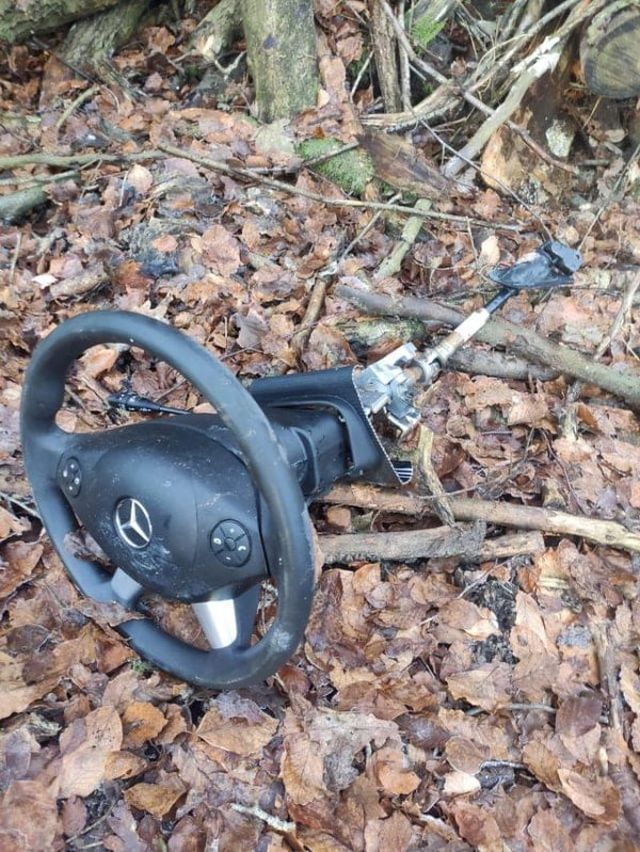 Creepy Things In The Woods (25 pics)