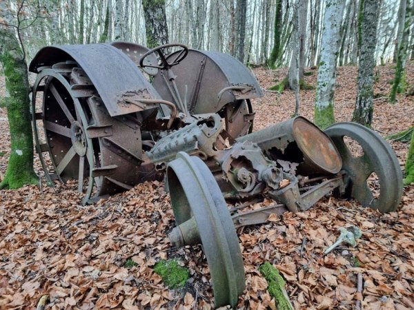 Creepy Things In The Woods (25 pics)