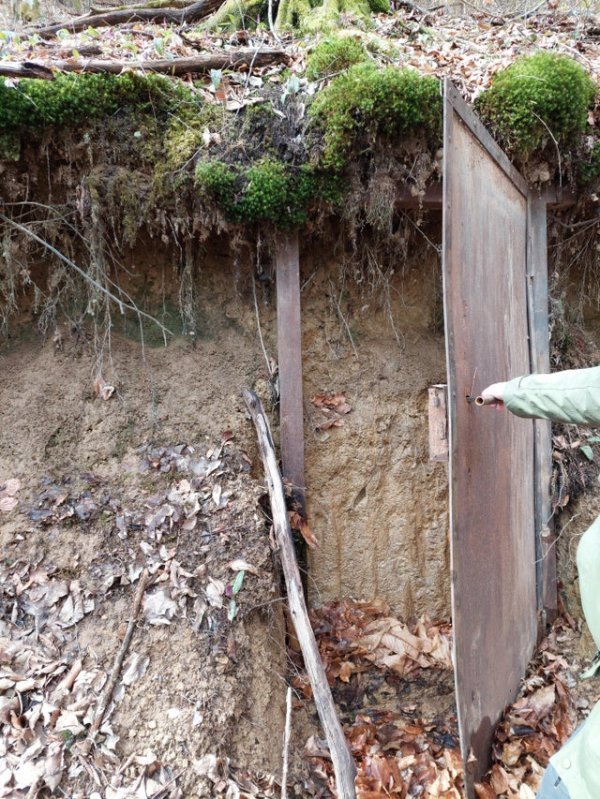 Creepy Things In The Woods (25 pics)