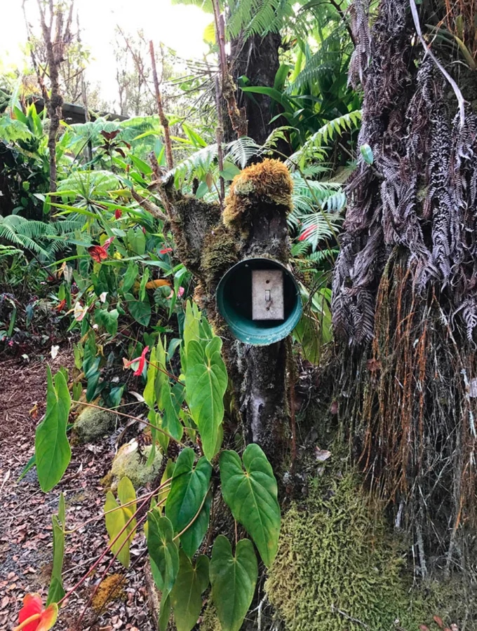 Creepy Things In The Woods (25 pics)