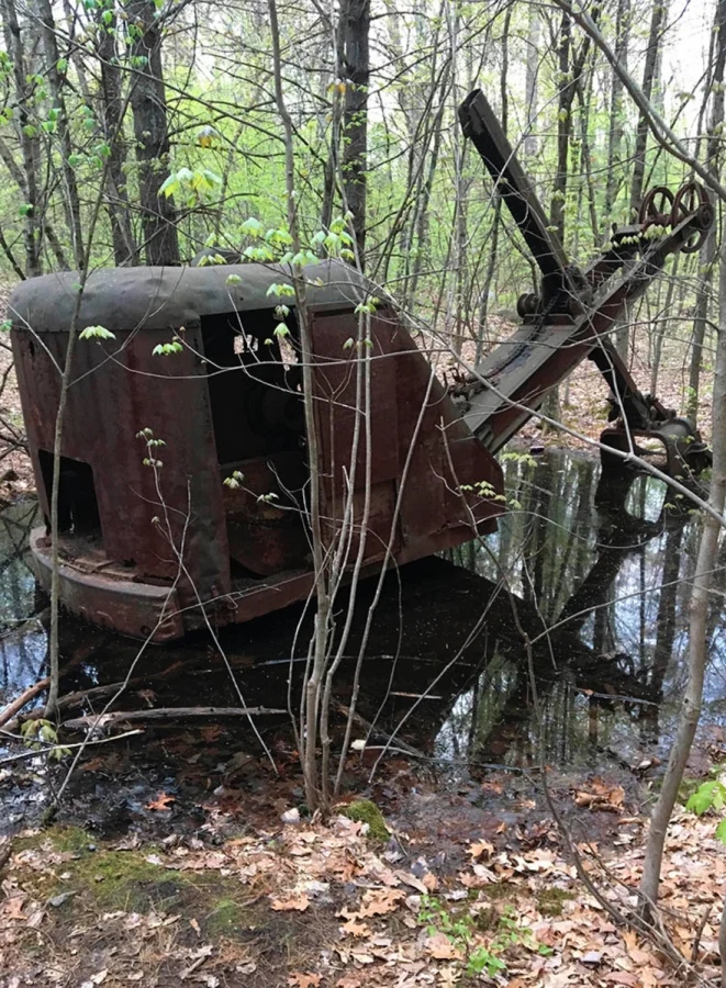 Creepy Things In The Woods (25 pics)