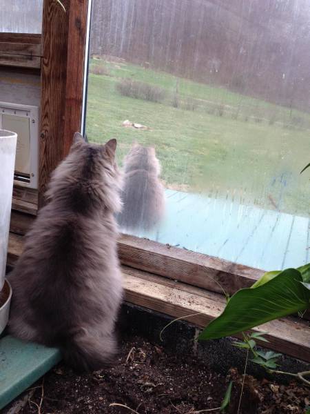 Unexpected Coincidences (23 pics)