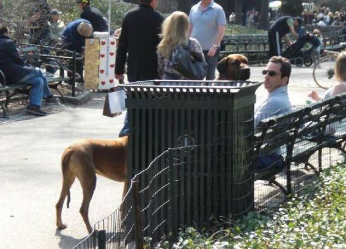 Unexpected Coincidences (23 pics)