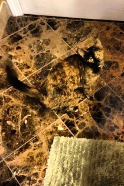 Unexpected Coincidences (23 pics)