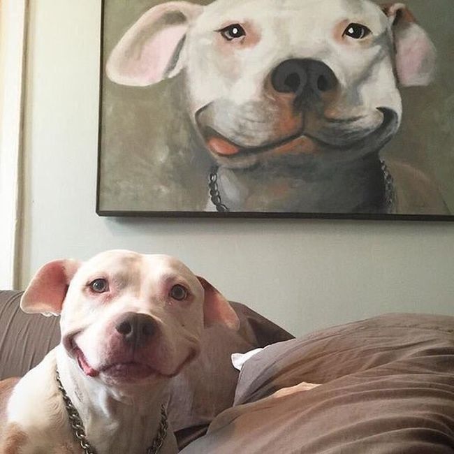 Daily Pictures. Part 1 (62 pics)