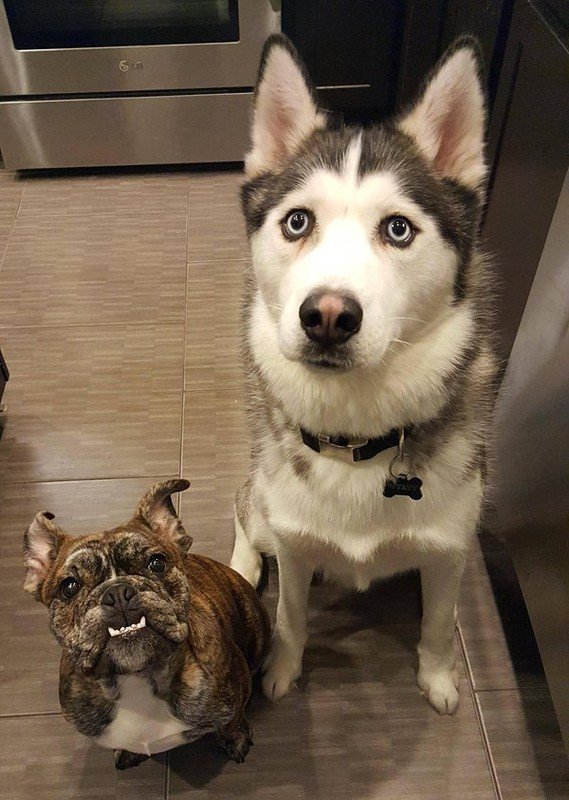 Daily Pictures. Part 2 (60 pics)