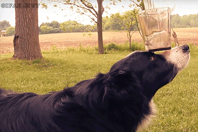 Acid GIFs, June 16 (25 gifs) Acid GIFs, June 16 (25 gifs)