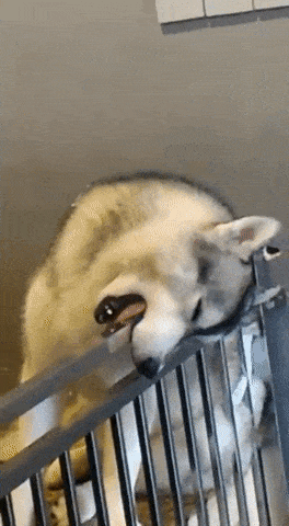 Acid GIFs, June 16 (25 gifs) Acid GIFs, June 16 (25 gifs)
