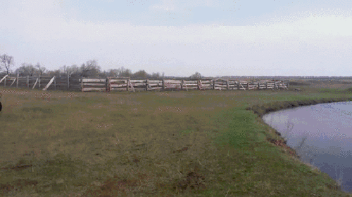 Acid GIFs, June 16 (25 gifs)