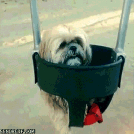 Acid GIFs, June 16 (25 gifs) Acid GIFs, June 16 (25 gifs)