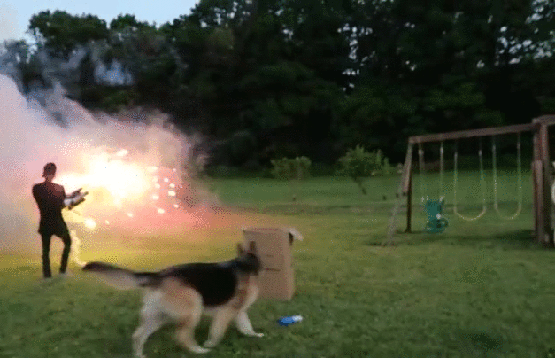 Acid GIFs, June 16 (25 gifs) Acid GIFs, June 16 (25 gifs)