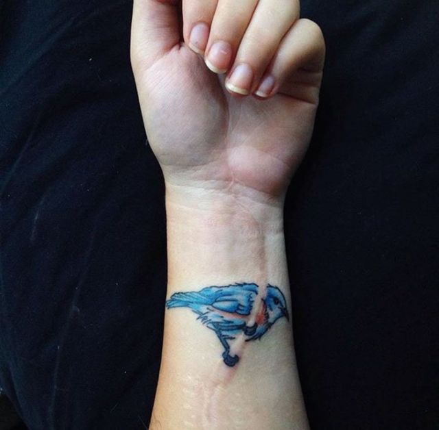 Cool Scar Cover (23 pics)