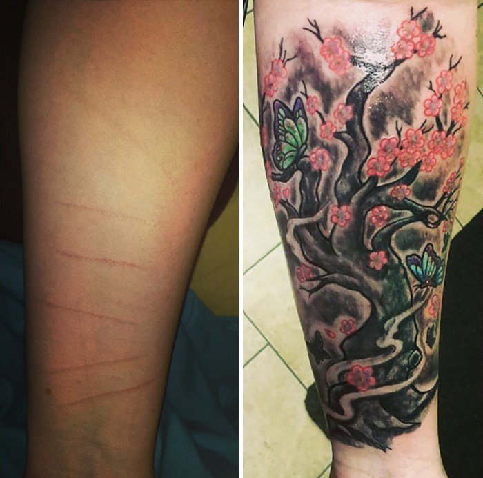 Cool Scar Cover (23 pics)