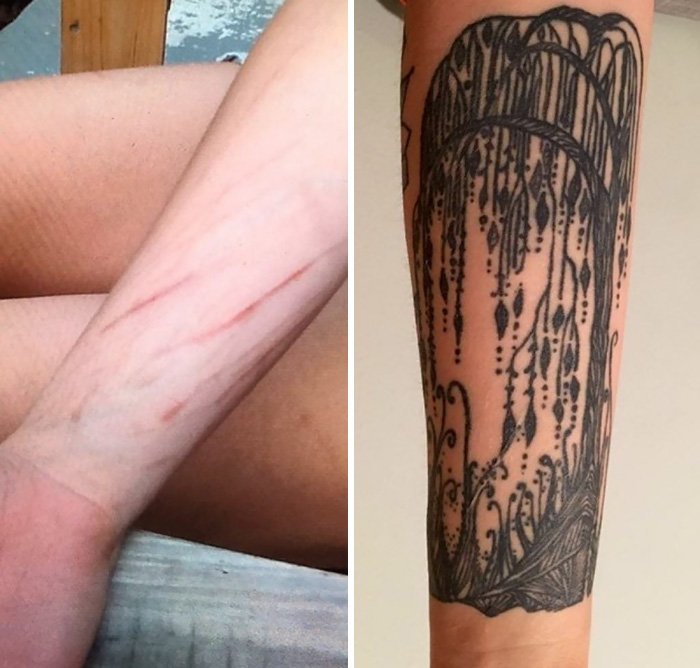Cool Scar Cover (23 pics)