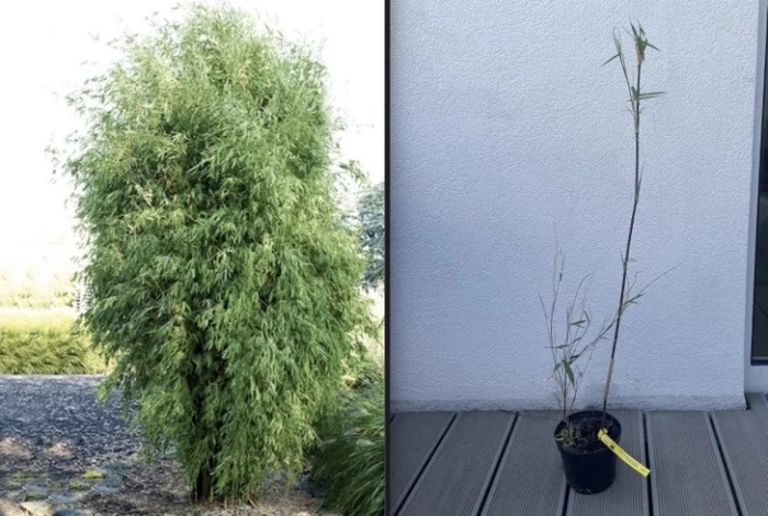 Expectations Against Reality (16 pics)