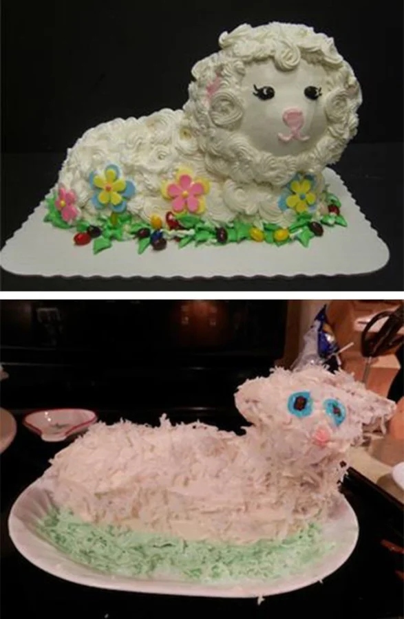 Expectations Against Reality (16 pics)