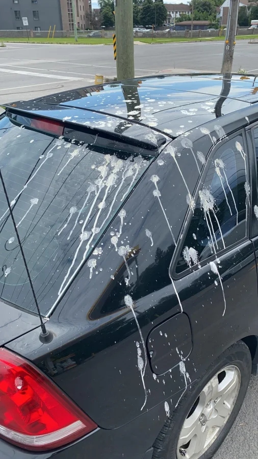 Bad Days Happen (19 pics)