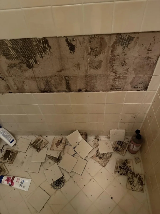 Bad Days Happen (19 pics)