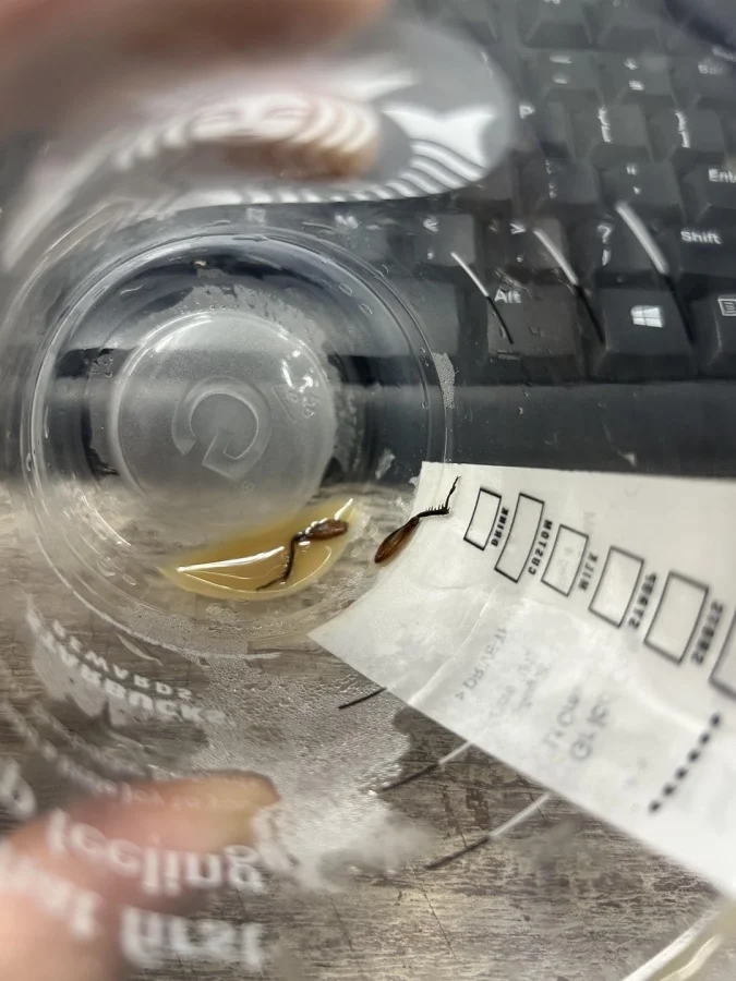 Bad Days Happen (19 pics)