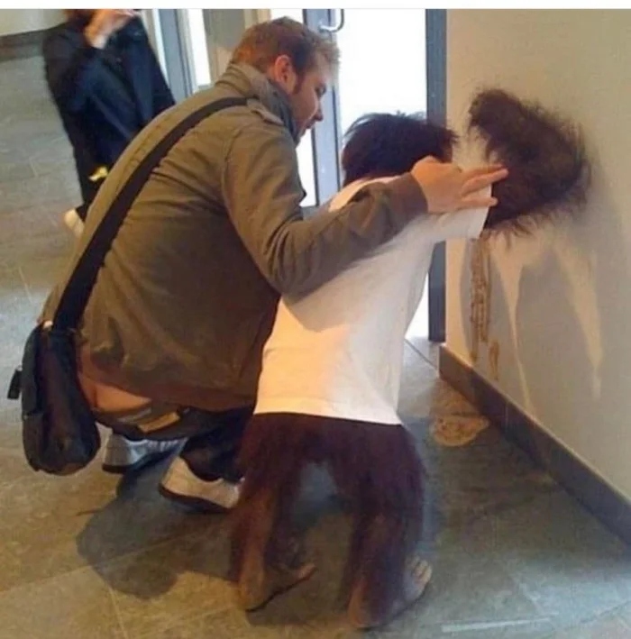What Is Going On Here? (20 pics)