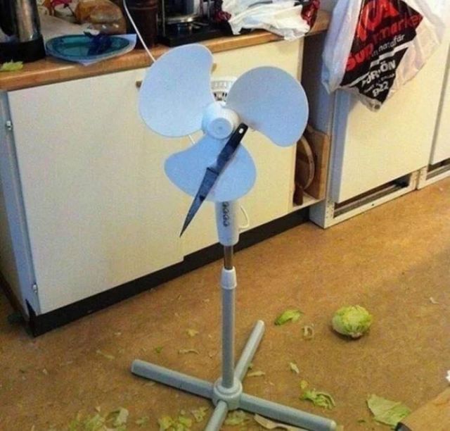 What Is Going On Here? (20 pics)