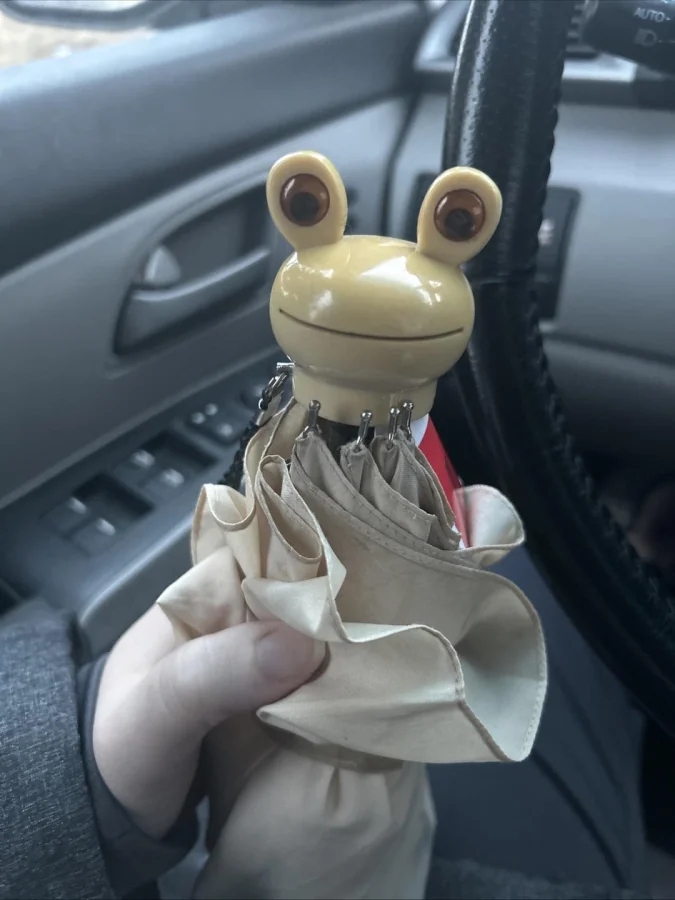 Cool Finds In Thrift Shops (20 pics)