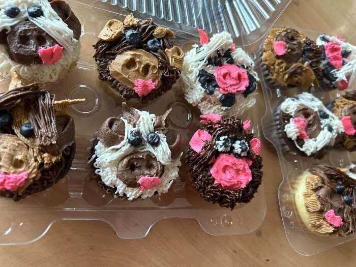Odd Cakes (17 pics)