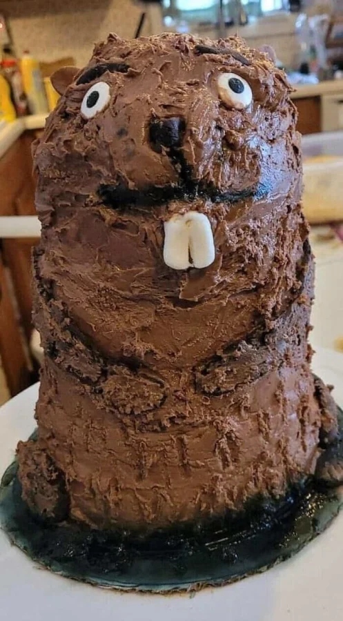 Odd Cakes (17 pics)
