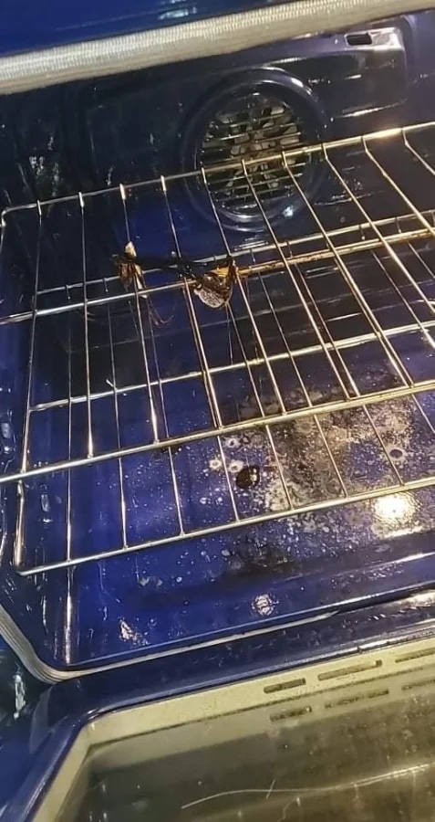 Epic Cooking Fails (20 pics)
